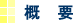 概要