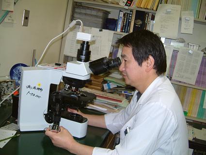 顕微鏡での花粉計測